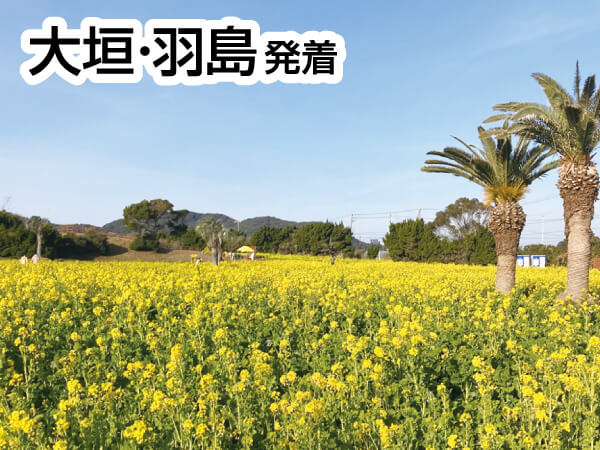 渥美半島菜の花畑&いちご狩りバス(2024)