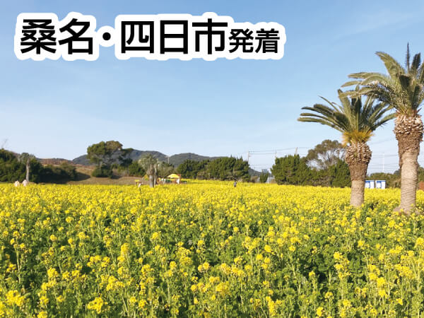 渥美半島菜の花畑&いちご狩りバス(2024)