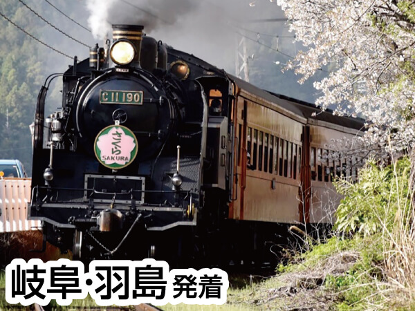 大井川さくらＳＬ列車(2024)