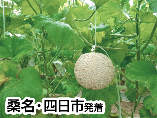 浜名湖花博とくだもの狩り(2024)