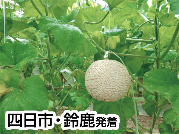 浜名湖花博とくだもの狩り(2024)