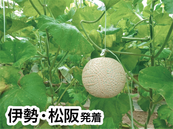 浜名湖花博とくだもの狩り(2024)