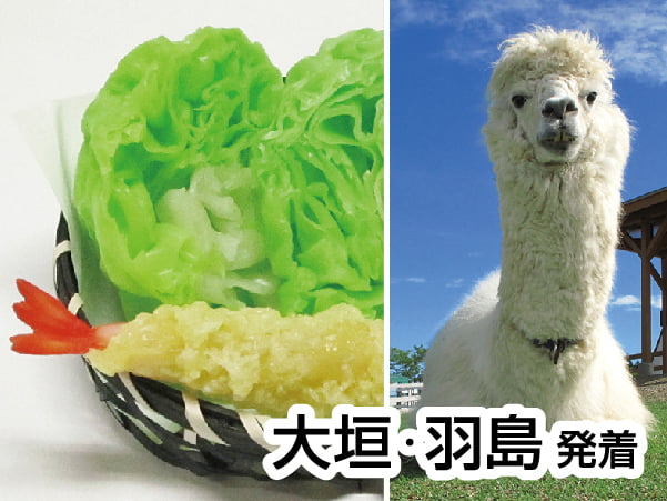 食品サンプル作りと牧歌の里(2024)