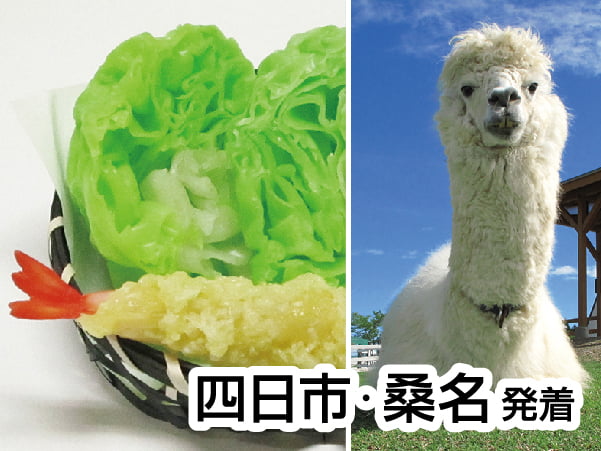 食品サンプル作りと牧歌の里(2024)