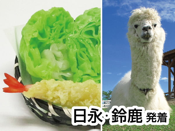 食品サンプル作りと牧歌の里(2024)