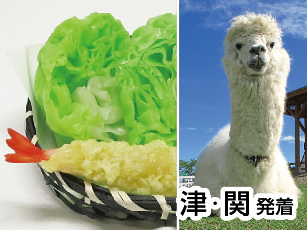 食品サンプル作りと牧歌の里(2024)