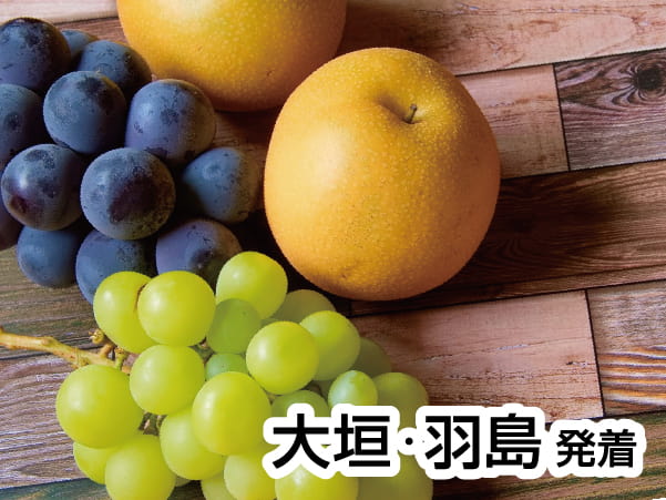 三河・初秋の巨峰&梨狩り(2024)
