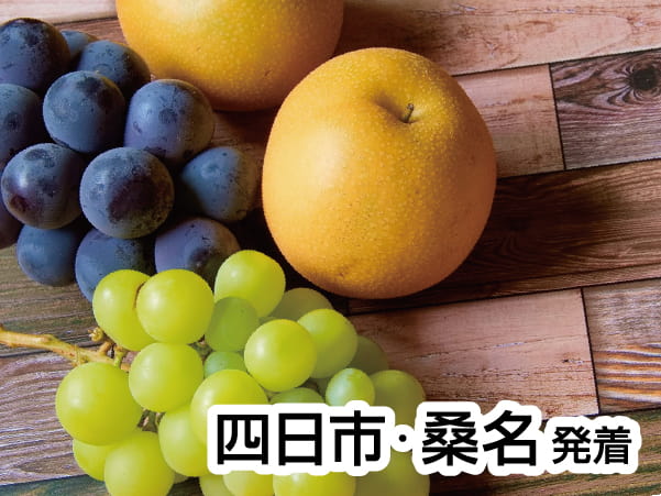 三河・初秋の巨峰&梨狩り(2024)