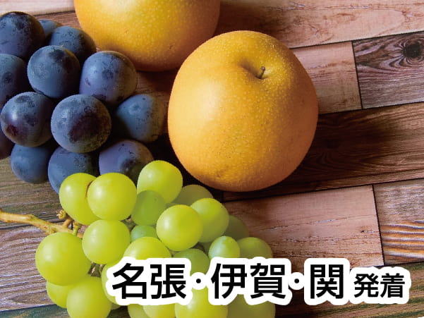 三河・初秋の巨峰&梨狩り(2024)