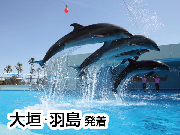 南知多ビーチランドとひまわり畑(2024)