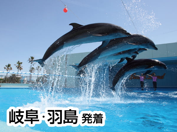南知多ビーチランドとひまわり畑(2024)