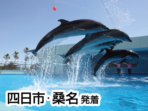 南知多ビーチランドとひまわり畑(2024)
