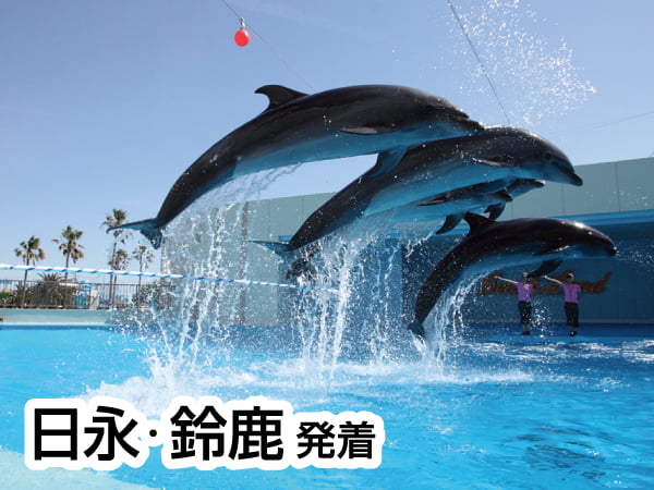 南知多ビーチランドとひまわり畑(2024)
