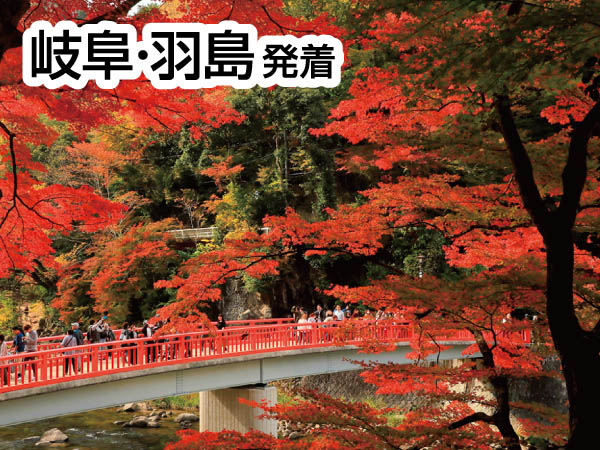 香嵐渓もみじと岡崎城(2024)