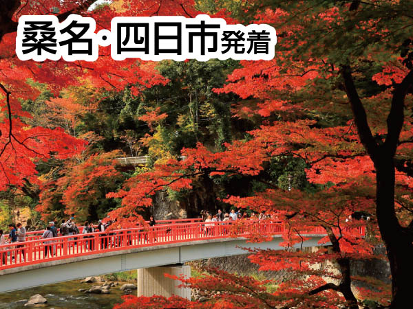 香嵐渓もみじ&小原四季桜(2024)