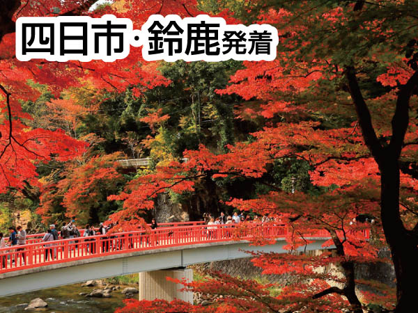 香嵐渓もみじ&小原四季桜(2024)
