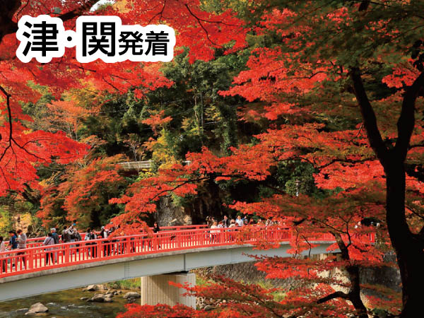香嵐渓もみじ&小原四季桜(2024)