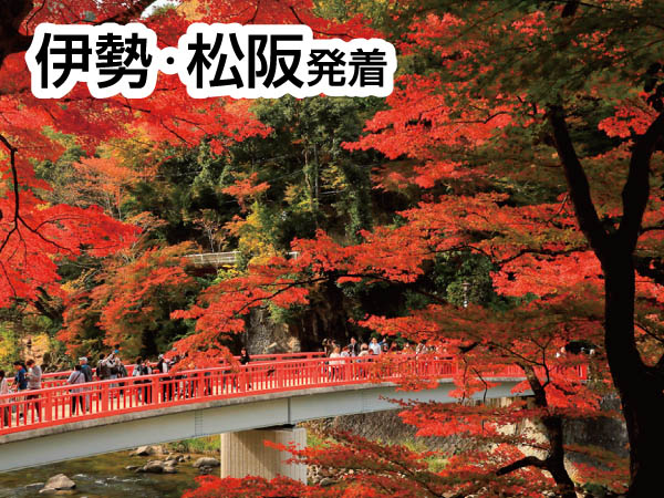 香嵐渓もみじ&小原四季桜(2024)