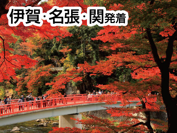 香嵐渓もみじ&小原四季桜(2024)