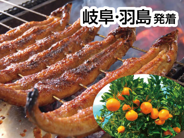 うなぎの兼光とみかん狩り(2024)