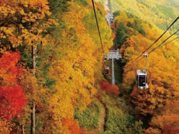 ゴンドラからの紅葉と中山道馬籠宿(2024)