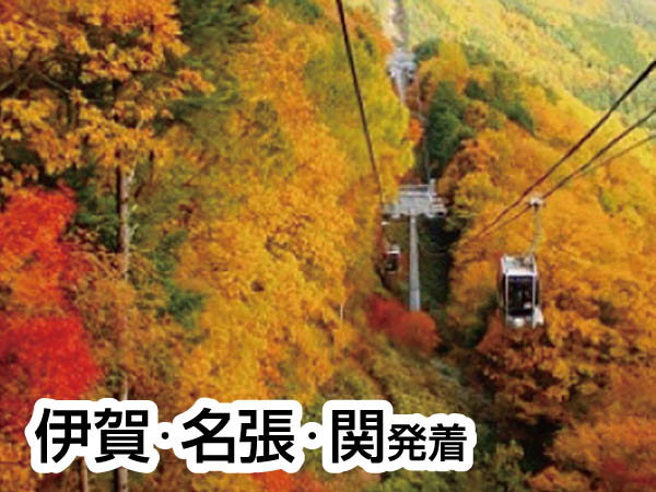 ゴンドラからの紅葉と中山道馬籠宿(2024)