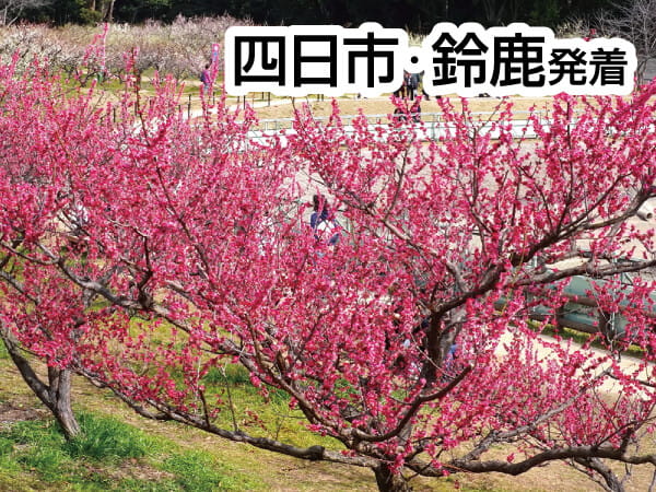 知多・そうり梅まつり(2024)