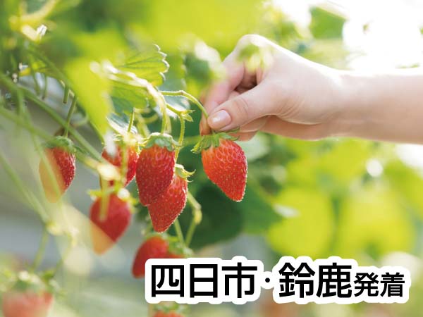 蒲郡いちご狩りとかに釜飯ランチ(2024)