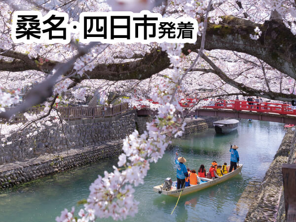 おおがき花見舟と根尾谷淡墨桜(2025)