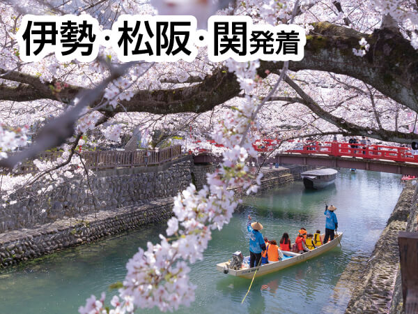 おおがき花見舟と根尾谷淡墨桜(2025)