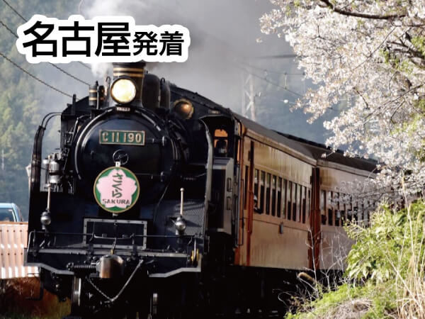 大井川さくらSL(2025)