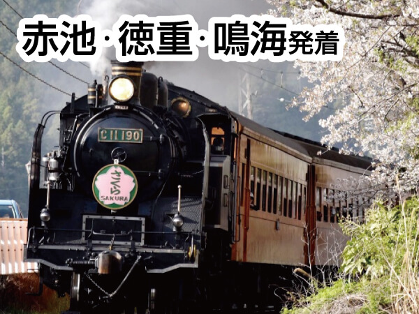 大井川さくらSL(2025)