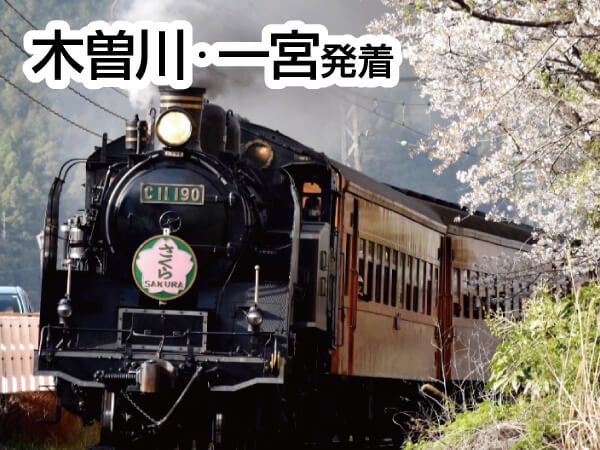大井川さくらSL(2025)