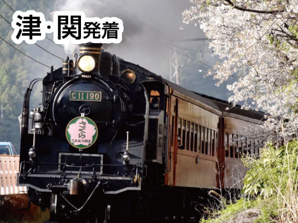 大井川さくらSL(2025)
