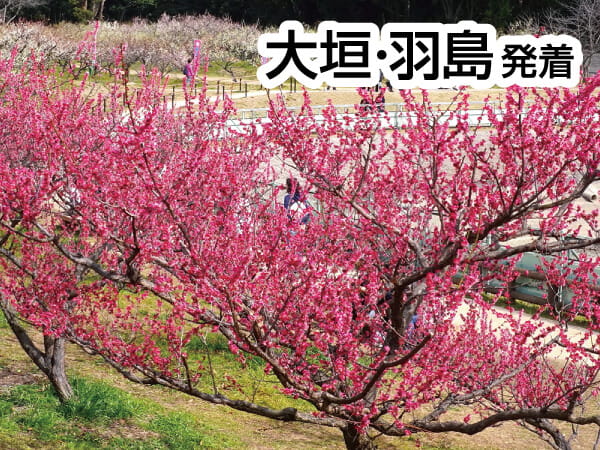 知多梅まつりと牡蠣・ふぐ御膳(2025)