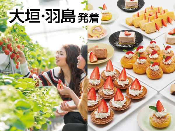 蒲郡ストロベリー物語(2025)