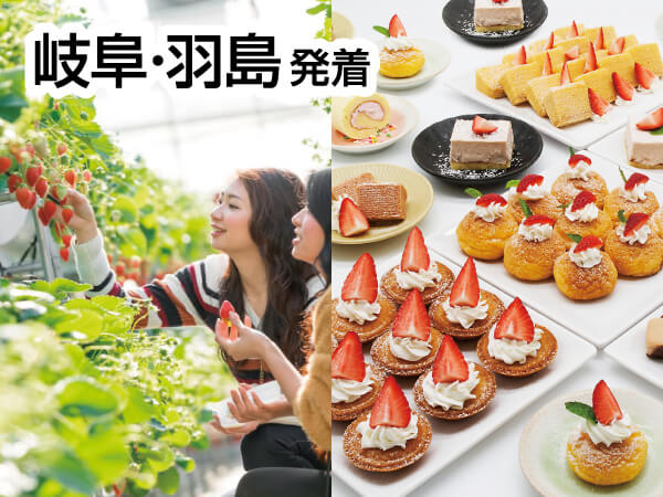 蒲郡ストロベリー物語(2025)
