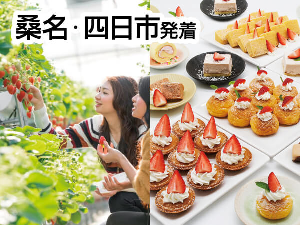 蒲郡ストロベリー物語(2025)