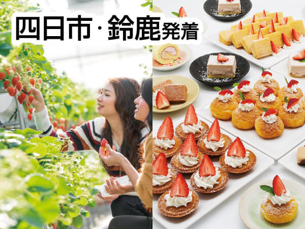 蒲郡ストロベリー物語(2025)