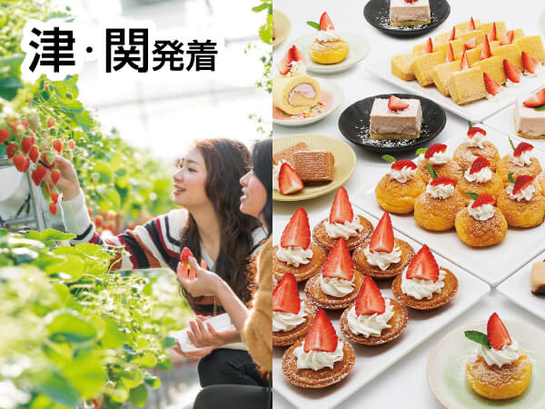 蒲郡ストロベリー物語(2025)
