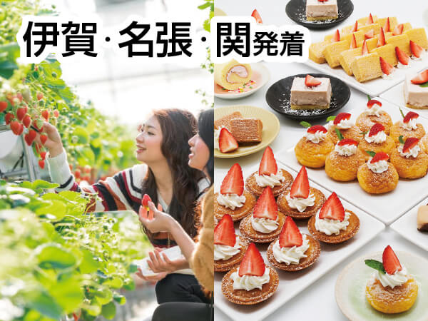 蒲郡ストロベリー物語(2025)