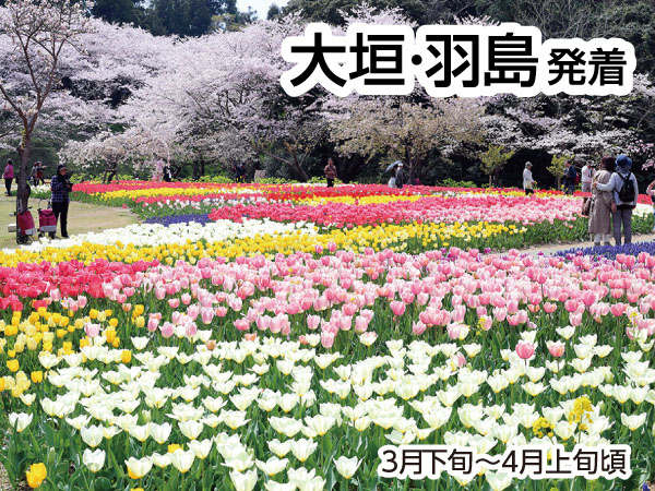 浜名湖花フェスタ2025(2025)
