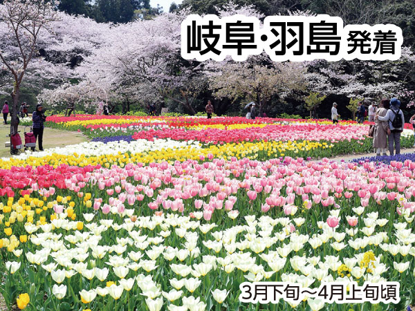 浜名湖花フェスタ2025(2025)