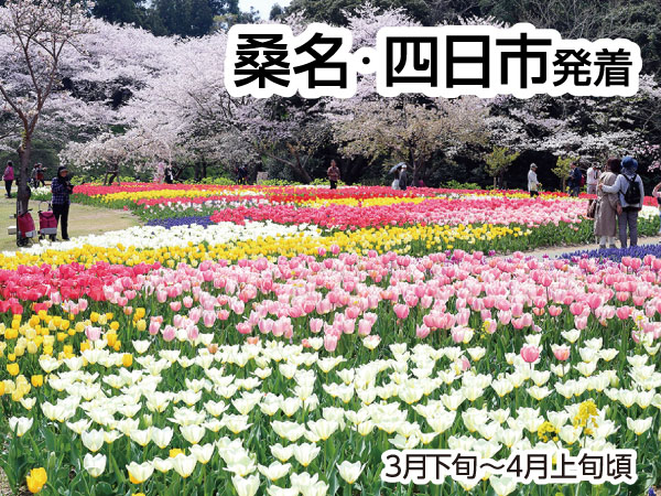 浜名湖花フェスタ2025(2025)