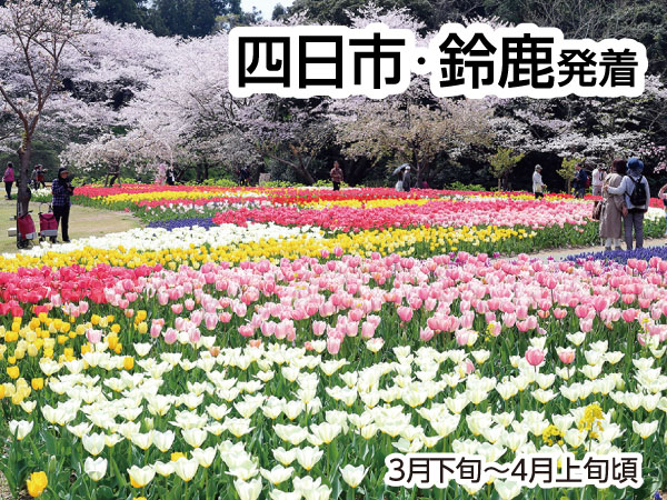 浜名湖花フェスタ2025(2025)