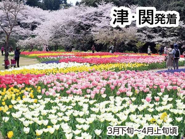 浜名湖花フェスタ2025(2025)