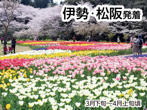 浜名湖花フェスタ2025(2025)