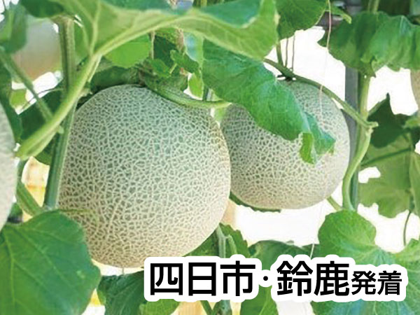 三河メロン2玉持ち帰り(2025)