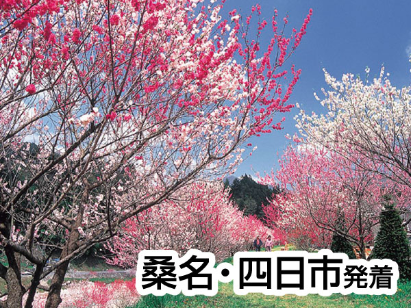 南信州・阿智村の花桃(2025)