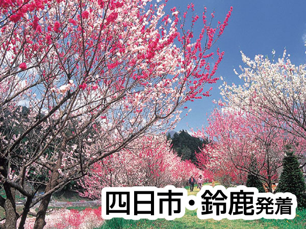 南信州・阿智村の花桃(2025)